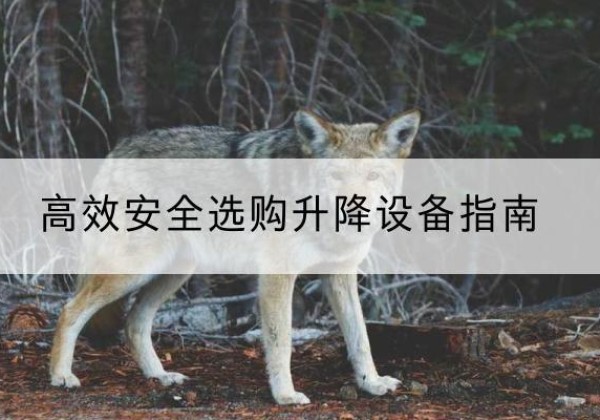 博白升降货梯厂家推荐-*安全选购升降设备指南