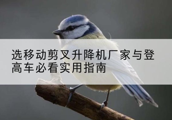 博白电动升降机厂家-选移动剪叉升降机厂家与登高车必看实用指南