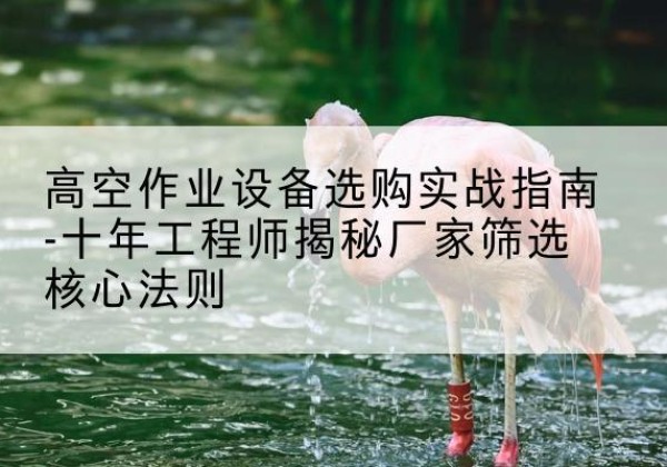 博白剪叉式升降机厂家-高空作业设备选购实战指南-十年工程师揭秘厂家筛选核心法则